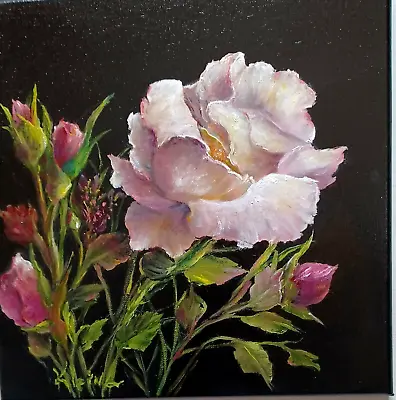 BLUSHING WHITE ROSE New Original Floral 12x12 Oil Painting By Artist Klein • $144.99