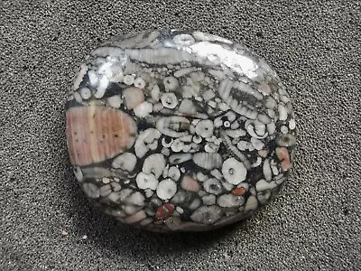 Polished Jasper With Crinoid Fossils - Bag Of 2 • £13