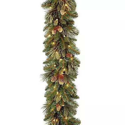 National Tree Company Pre-Lit Artificial Christmas Garland Green Carolina Pin... • $29.04