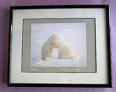 Bear Hug Thomas D Mangelsen Signed Images Of Nature 8x10 Framed Polar Bears 1994 • $199