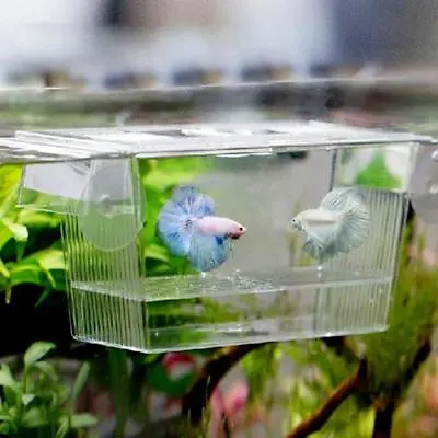 $10.35 • Buy Aquarium Fish Tank Isolation Box Accessories Acrylic High Clear Fish Breeding SW
