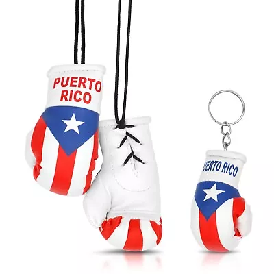 Mini Boxing Gloves And Boxing Glove Keychain Set • $13.50