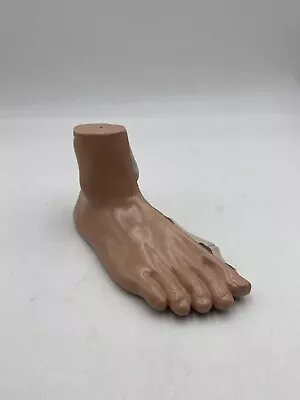 Flat Foot (Pes Planus) Model Anatomical Model Anatomy • $19