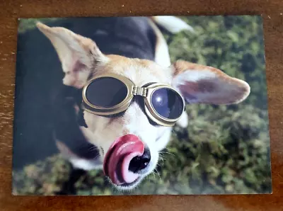 Marian Heath Funny BIRTHDAY Themed Greeting Card Puppy Licking Nose • $2.96