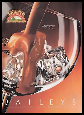 Baileys Irish Cream 1980s Print Advertisement Ad 1989 Glass With Ice Cubes • $18.53