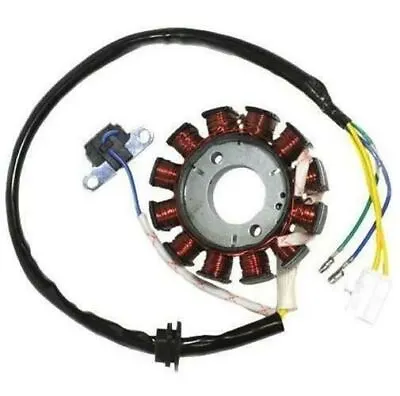 12 Coil Pole Ignition Stator Magneto For GY6 125cc 150cc Moped Scooter • $24.99