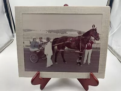 Vintage Photo Of Horse Jockey Harness Racing Very Large Woman • $3.99