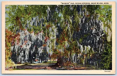Postcard Ocean Springs MS Ruskin Oak Near Biloxi Mississippi Gulf Coast MS08 • $4.99