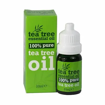 £2.89 • Buy Tea Tree Essential Oil Antiseptic Anti Fungal Skin Nails 10ml Bottle