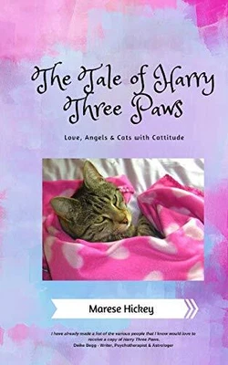 £7.49 • Buy The Tale Of Harry Three Paws: Love, Angels & Cats With Catt... By Hickey, Marese