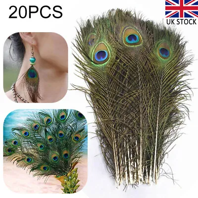 20Pcs Peacock Feathers Tail Natural 25-30 Cm Long For Bouquet Decoration Tool • £7.99