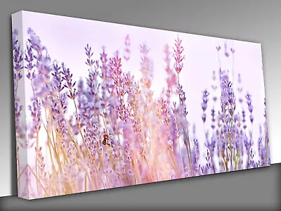 Lavender Flowers Lit By Sunlight Panoramic Canvas Wall Art Picture Print • £22.98