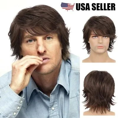 Mens Wig Brown Short Wigs For Men Natural Wave Synthetic Male Wigs With Bangs US • $11.27