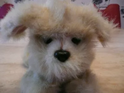 £9.99 • Buy ***furreal Beige Electronic Puppy Dog Moves Front Paws Barks***vgc