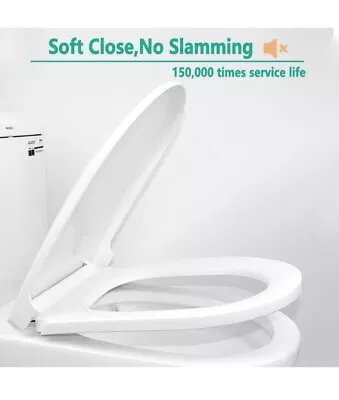 D-Shape Soft Close Toilet Seat Easy Cleaning Stainless Steel Hinges - White... • £14.99