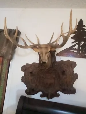 HUGe Resin Gun Rack Extremely Rare MULE DEER 2 Racks 12 Points • $125