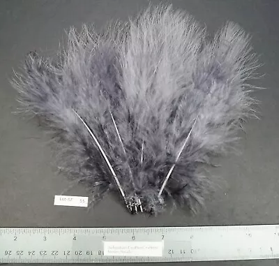 Heron Grey Marabou Strung Turkey Marabou/Spey Feathers Lot- SF 55 • $5.99