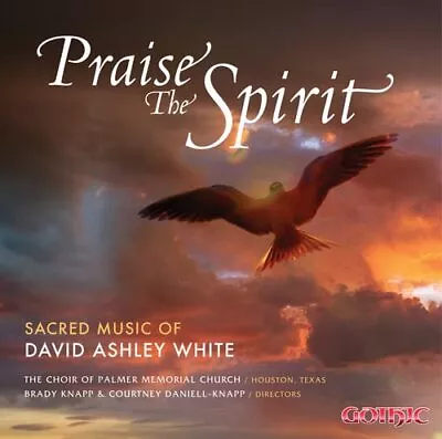 Various - Praise Spirit - Sacred Music [CD] • £20.56