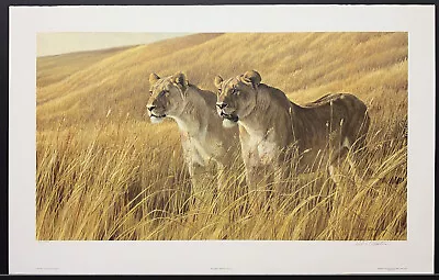 $175 • Buy Robert Bateman Limited Edition Signed Print  African Amber-Lioness Pair” 1980