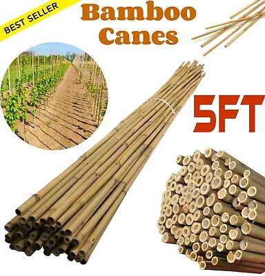 5FT Bamboo Garden Canes Natural Thick Strong Quality Stakes Plant Support Sticks • £7.97