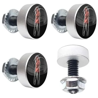 4 Silver Motorcycle Tattoo Girl License Plate Frame Fasteners Tag Bolt Screws • $14.77