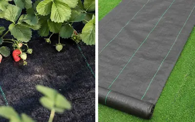 Weed Control Fabric Membrane Heavy Duty Landscape Garden Ground Cover Sheet  • £2.45