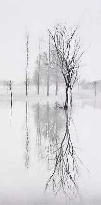 MICHAEL KENNA Signed 1975 Photograph -  Reflection Richmond Surrey England  • $1500