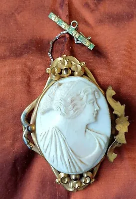 Carved Conch Shell Cameo In Gold Plated Brooch Setting Steampunk • £40