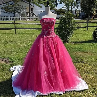 Pink Princess Ball Gown • $240