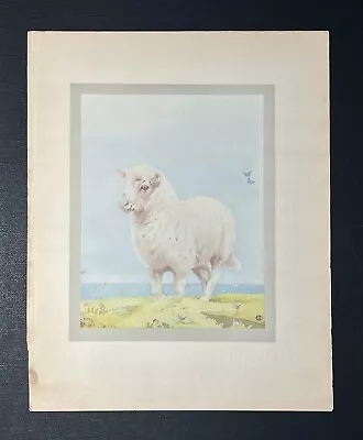 ANTIQUE Baby Animal Art Print LAMB Baby Sheep BEAUTIFUL Book Plate NURSERY DECOR • $29.99