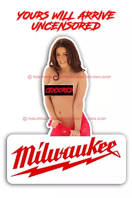 $3.99 • Buy Mechanics Tool Box  Cute Hot Sexy Brunette Girl Hot Rod Sexy Girl Color Decal