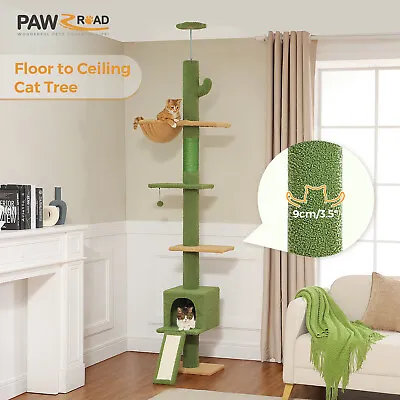 PAWZ Road Cat Tree Tower Scratching Post Ceiling High Cat Scratcher Condo Beds • $86.99
