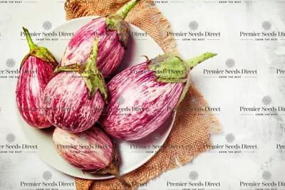 Organic Vegetable Aubergine Listada De Gandia Seeds • £16.99