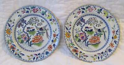 Pair~Antique 1815-1822 FLYING BIRD Ironstone Plates Hicks & Meigh England 8 3/8  • $129.99