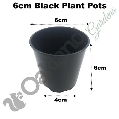 6cm Plant Pots Black Plastic Tall Deep Full Size Flower Pot 2.5  Seedling • £7.45