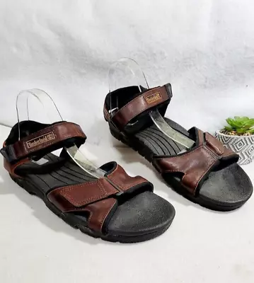 Timberland Men's Brown Sandals Two Strap Genuine Leather 67022 4420 Size US 13 M • $49.98