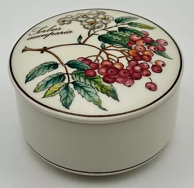 VTG Villeroy & Boch  Botanica  /Sorbus Aucuparia Trinket Box Covered Candy Dish • $14.99