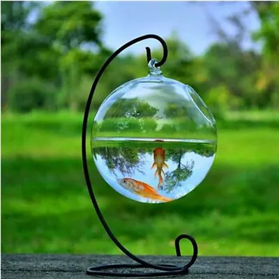 $14.94 • Buy With Stand Transparent Glass Vase Fishbowl Fish Tank Hanging Glass Fish Bowl