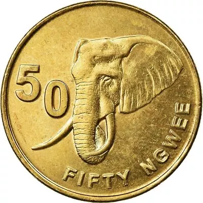 Zambia 50 Ngwee Coin | African Elephant | 2012 - 2017 • $5.46