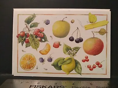 Vintage Greeting Card Marjolein Bastin Fruit Blank Card Envelope Set Hallmark • $5.98