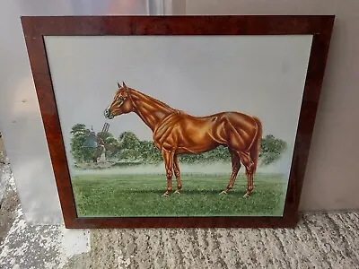 J Apps 1996 - Lammtarra Race Horse Original Oil On Canvas Painting Signed Framed • £64.99