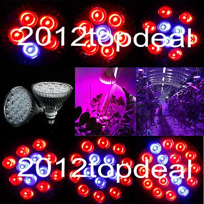 E27 27W 36W 45W 54W PAR38 LED LED Grow Light Red & Blue LED Spectrum For Plant • $16.94