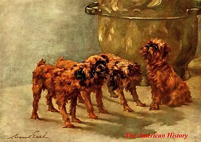 3446 Earl Maud (1864-1943) - Power Of The Dog 1910 - Griffon Bruxellois • $10.86