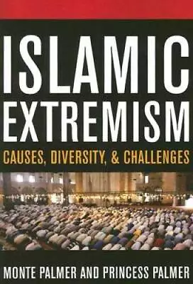 Islamic Extremism: Causes Diversity And Challenges - Paperback - GOOD • $9.57