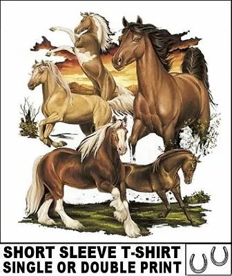Beautiful Palomino Paint Arab Morgan Shire Draft Horse Short Sleeve T-shirt W310 • $23.99