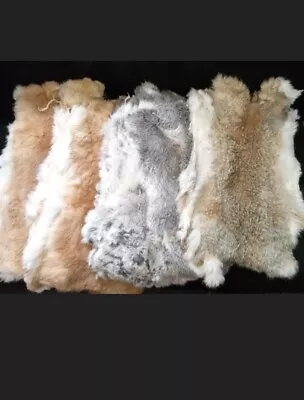 5 Pcs Unit Tanned Whole Rabbit Fur Pelts For Crafting Displays Ship From USA  • $32