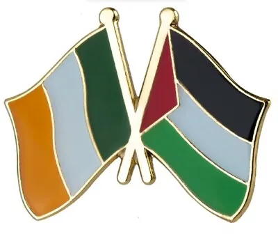 £2.95 • Buy Ireland Palestine Badge Flag Pin Enamel Irish Australian