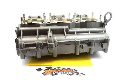 $160.88 • Buy 1996 Tigershark Monte Carlo 900 Engine Motor Crankcase Crank Cases Block