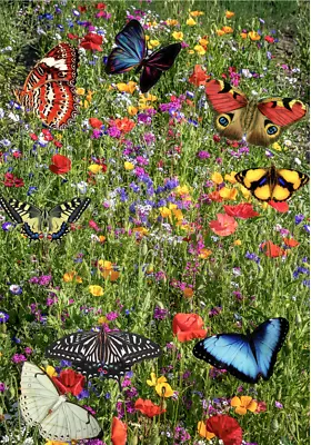 Wild Flower Seeds UK Pure  Scented  NO GRASS Bee Butterfly Mix Meadow Garden UK • £5.99