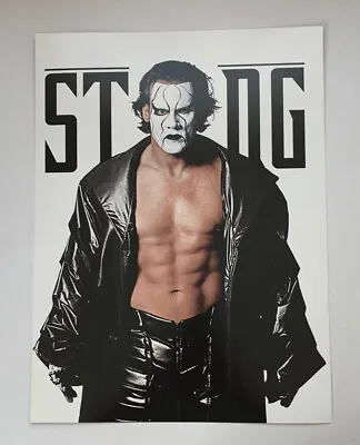 WWF WWE Poster Print Sting WCW NWA TNA Champion Wrestler Pro Wrestling 12” X 16” • $20.01